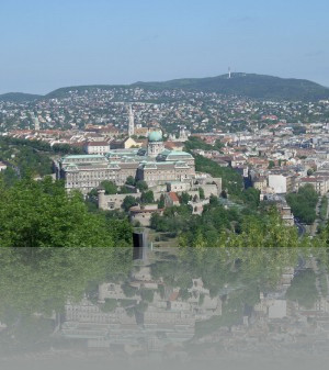 Крепостная гора (мы над ней, на ней Королевский дворец)