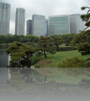 Парк в центре Токио. Вокруг него всё самое дорогое
